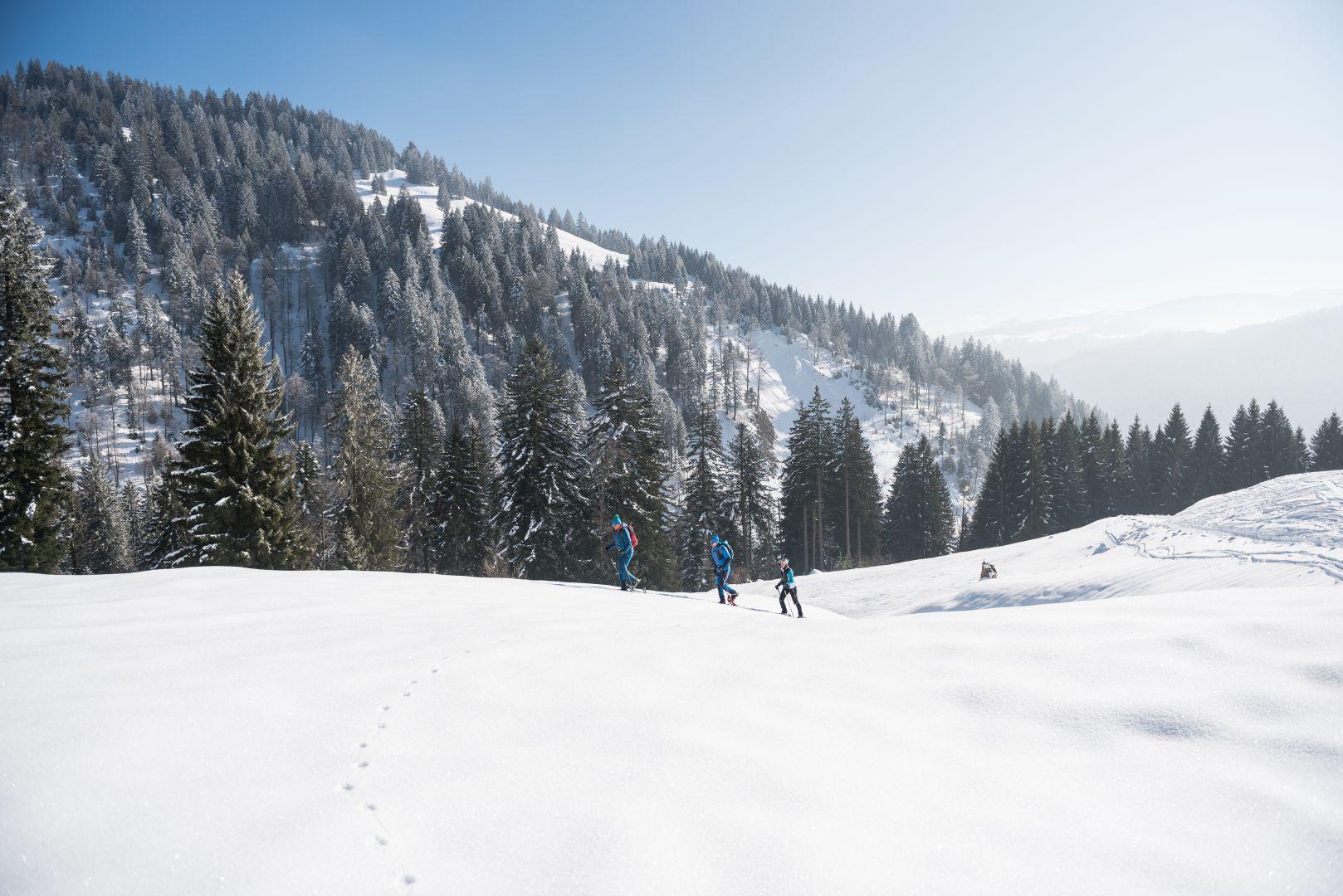 Schneeschuhtour im schönen Balderschwang Schneeschuhtour im schönen Balderschwang