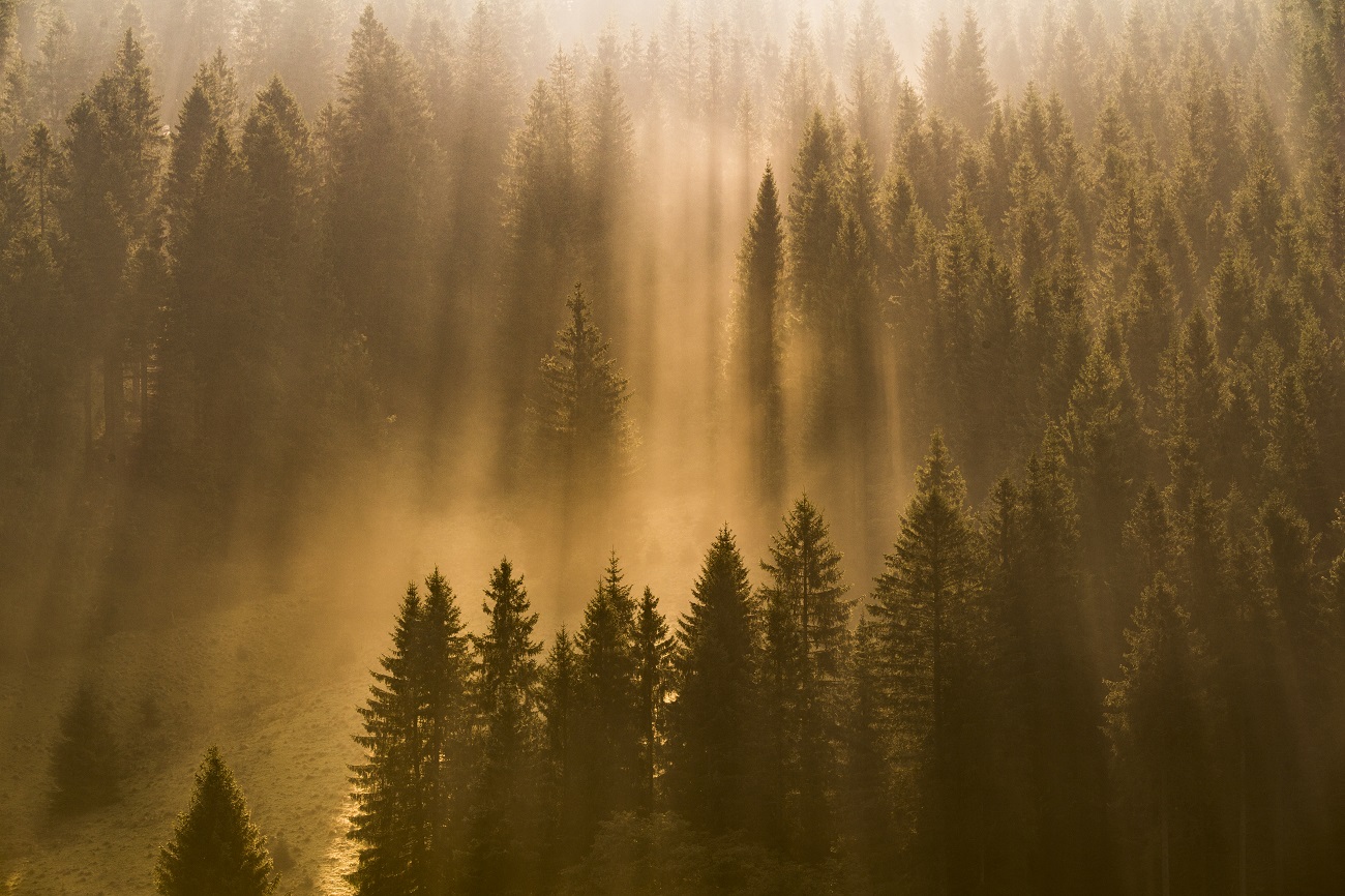 Wenn... wir zum Perlentauchen gehen, Claudia Vogt.jpg