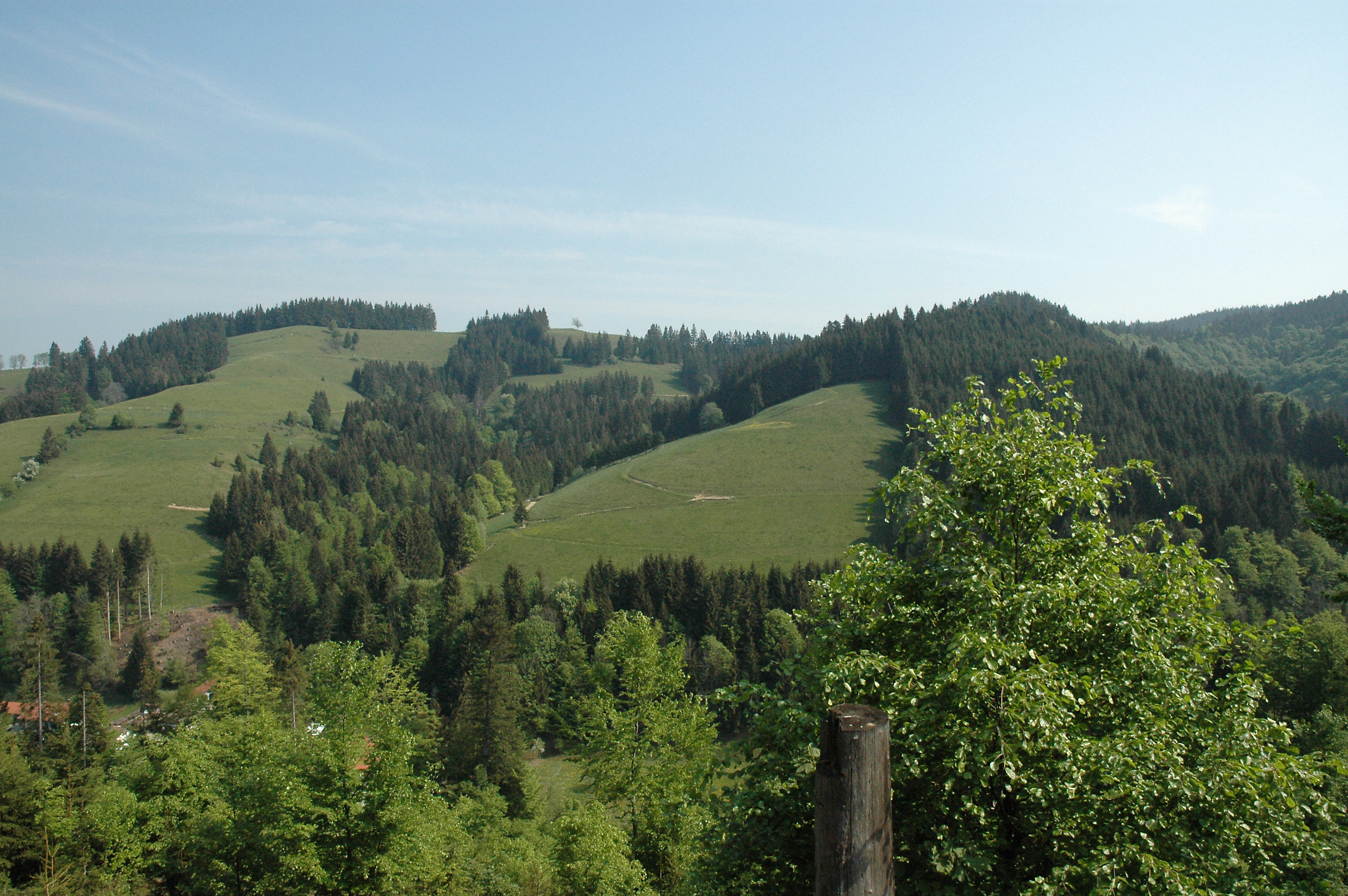 Wald Kreuzthal