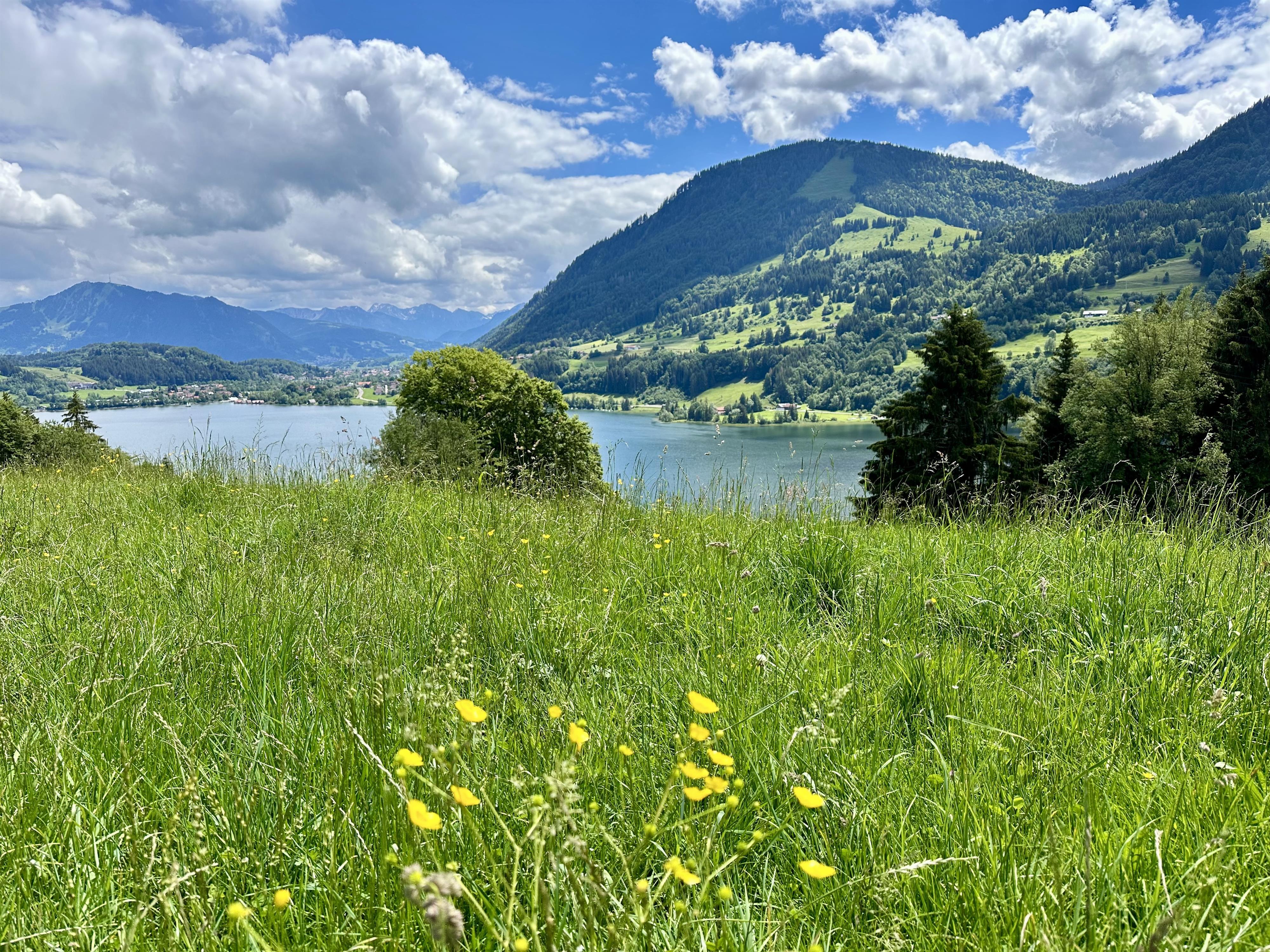 Panorama Großer Alpsee Panorama Großer Alpsee