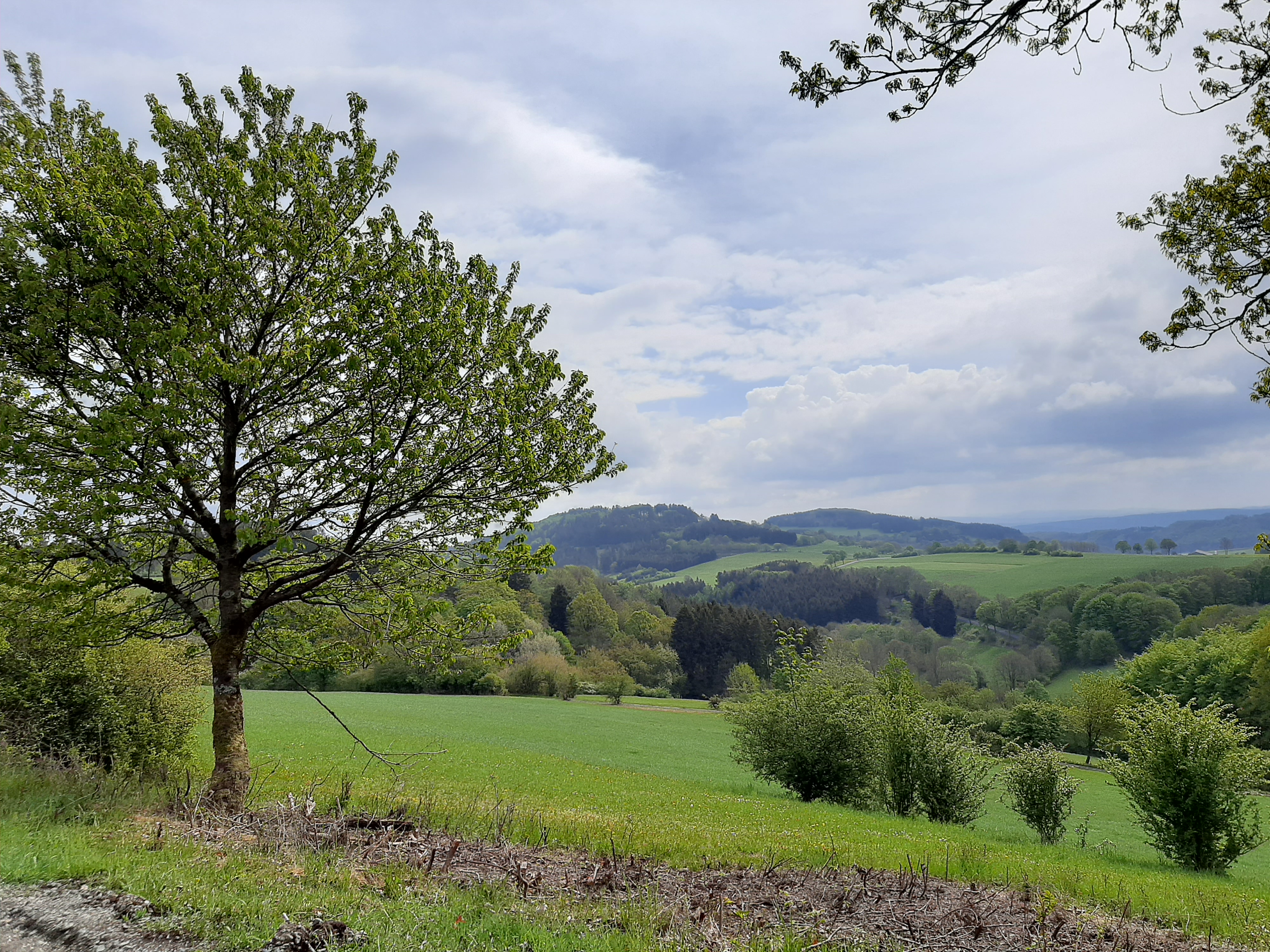 Spirituellen Sommer zum Thema „Sinne“ Wandern für die Seele.jpg