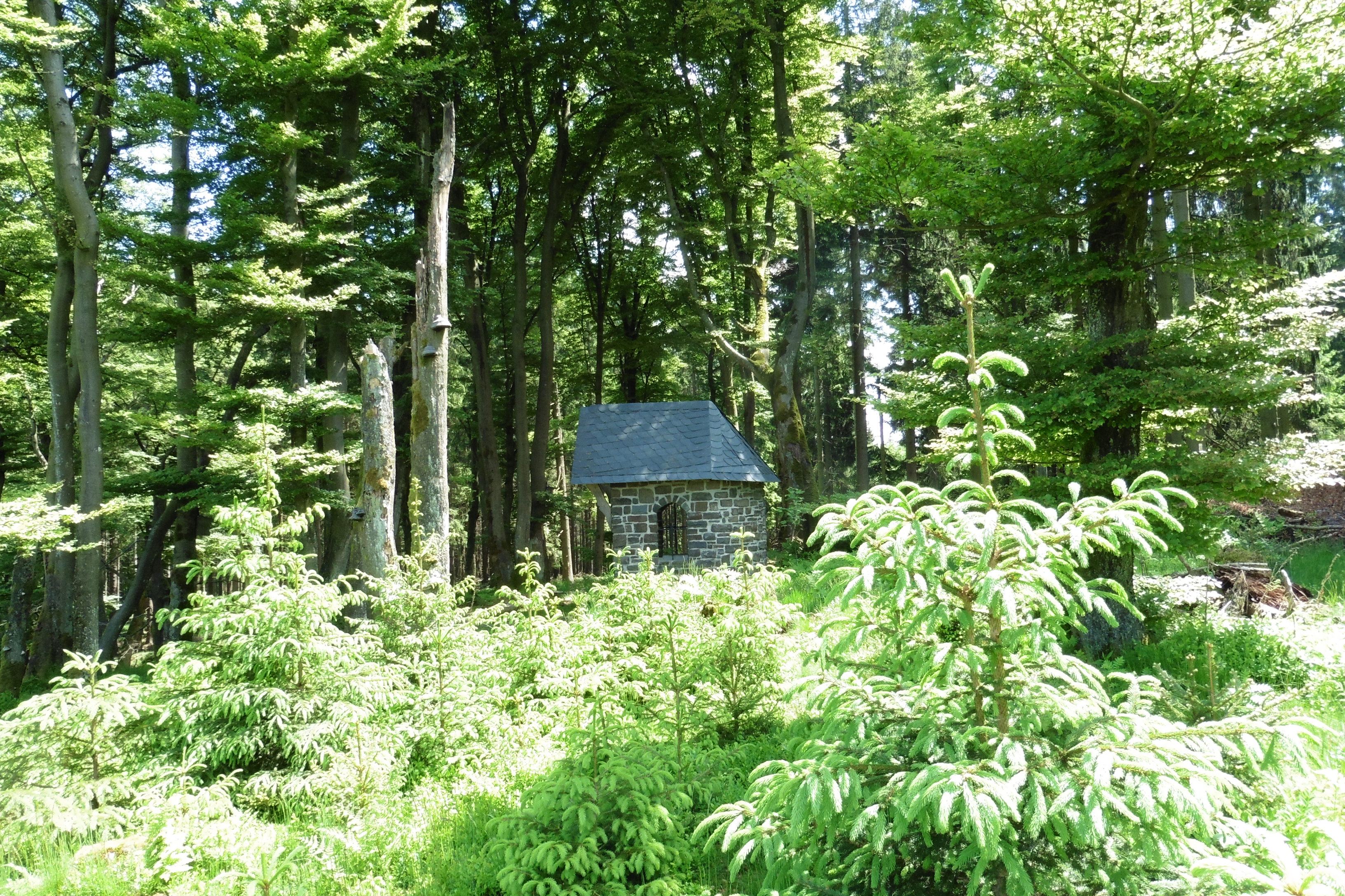 Hubertuskapelle am Gaulskopf.JPG