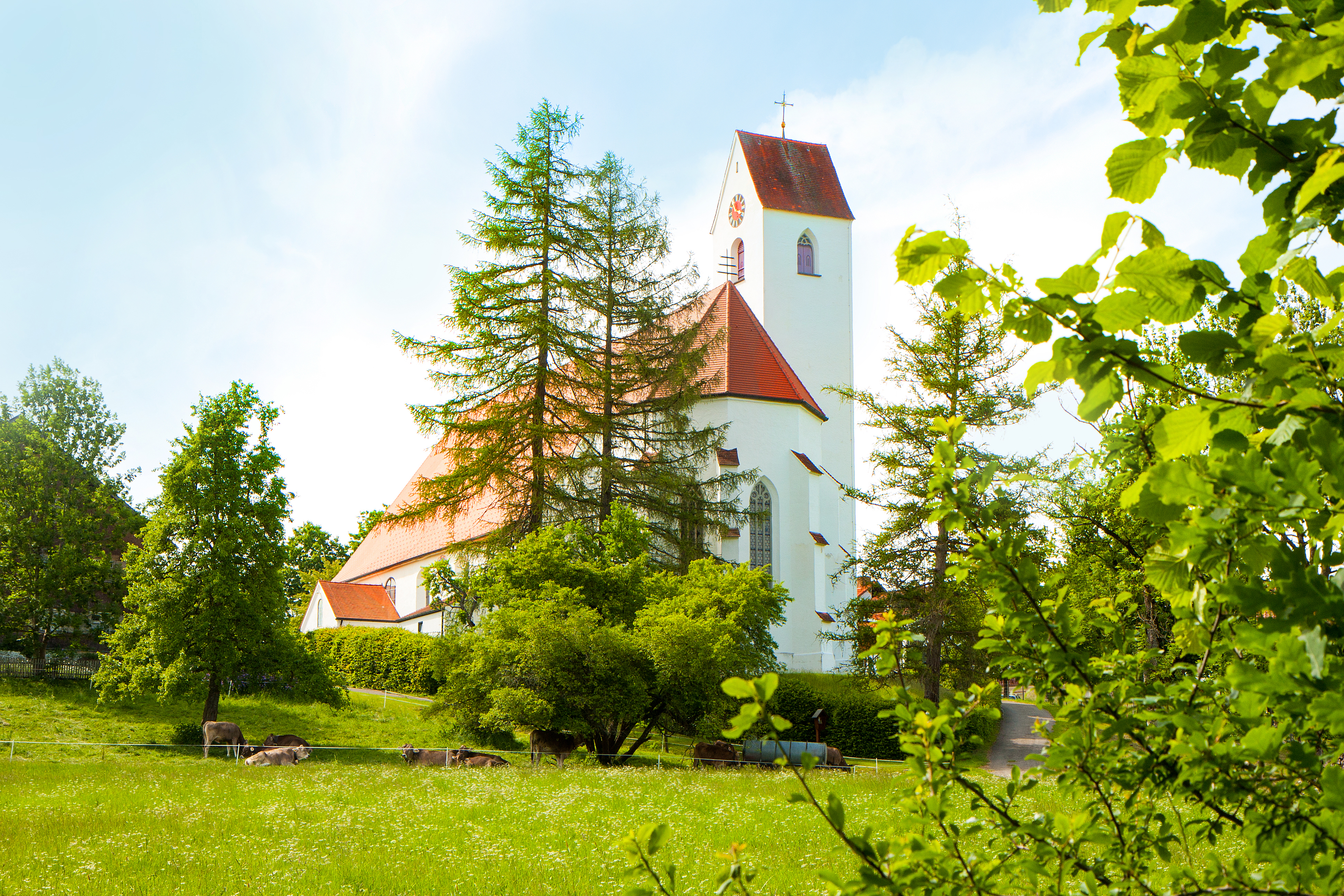 Mria Rain 2025.jpg Mria Rain 2025.jpg