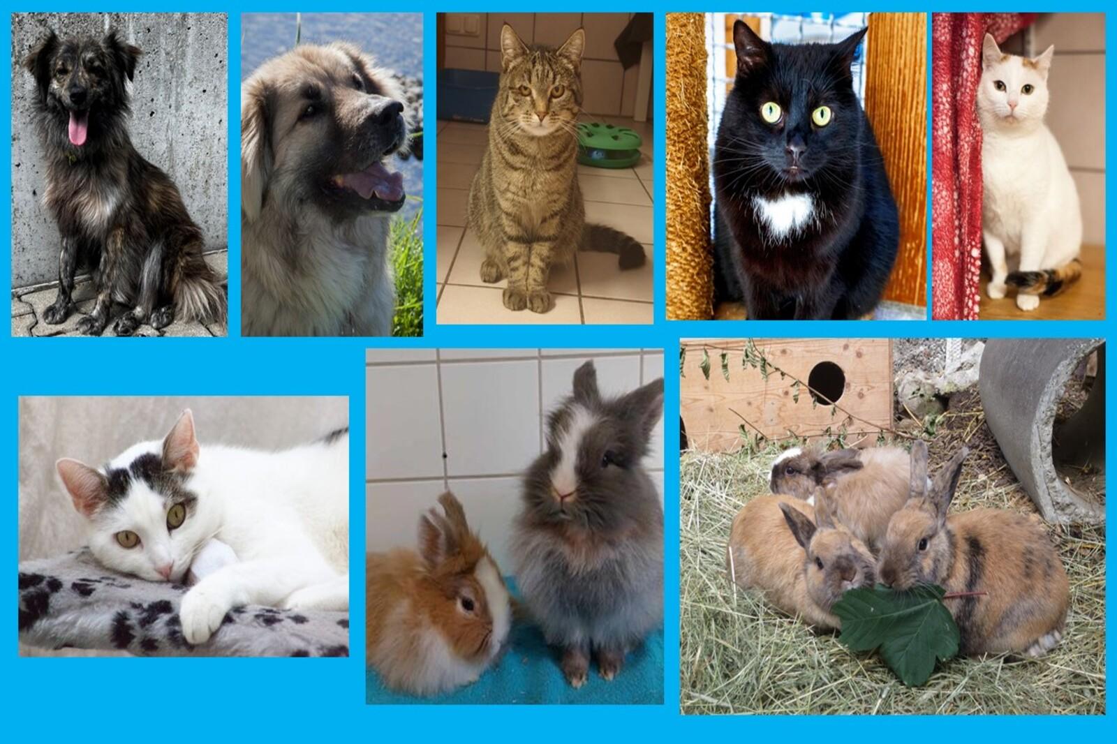 Tag der offenen Tür Tag der offenen Tür