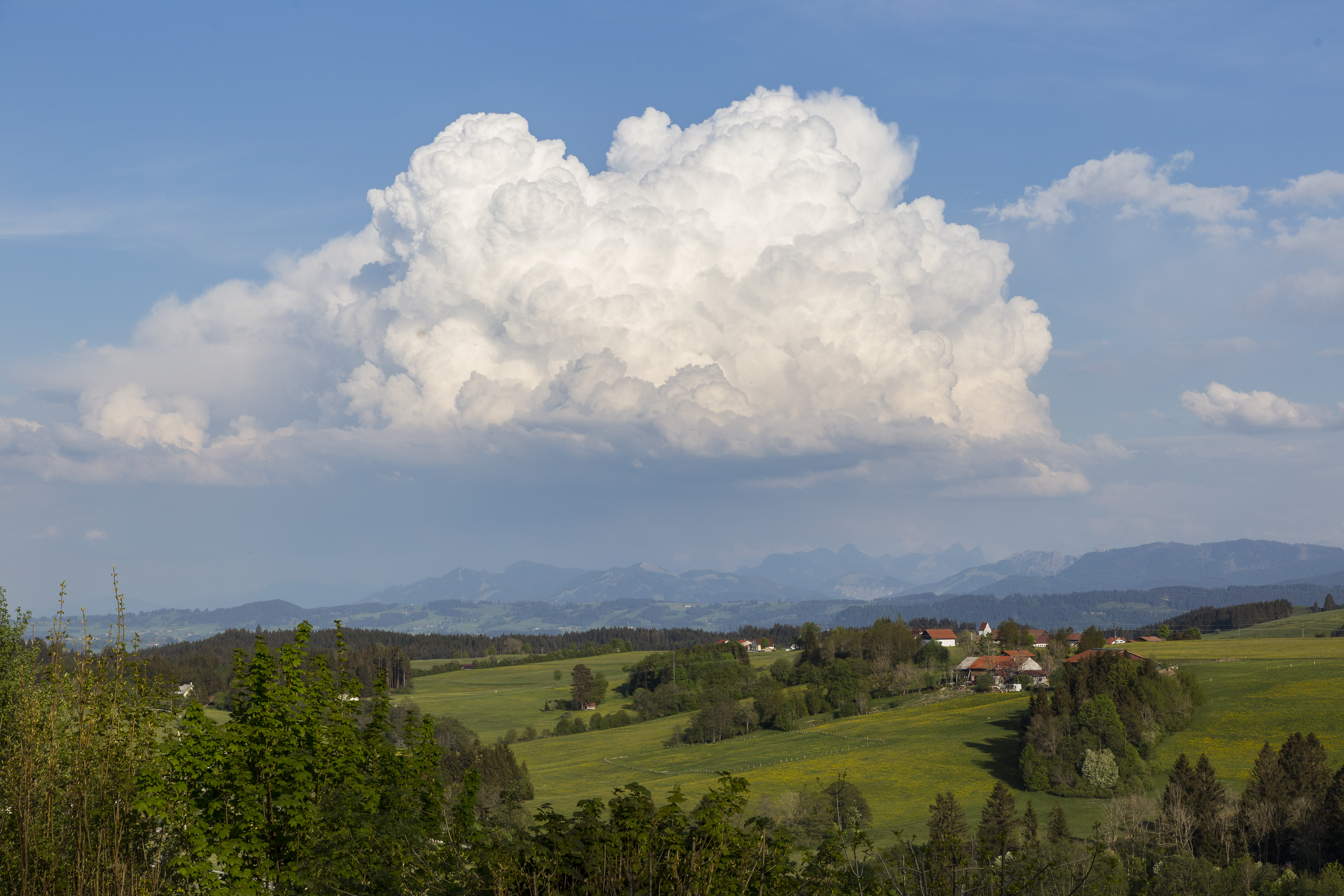 Hellengerst