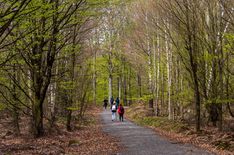 Exkursion Naturschutzgebiet Hunau.jpg