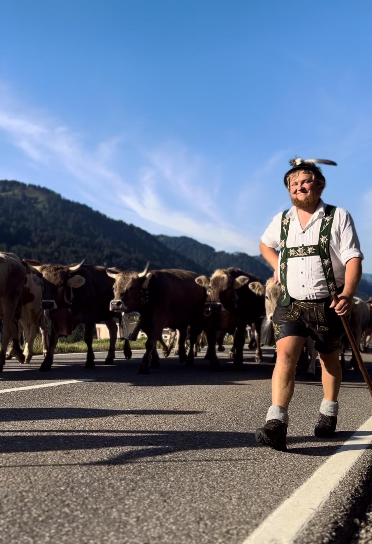 Hirte beim Einzug - Viehscheid in Balderschwang