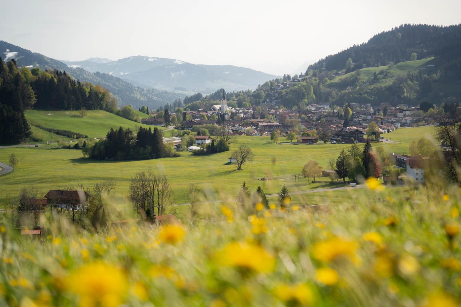 Wildkräuter-Spaziergang