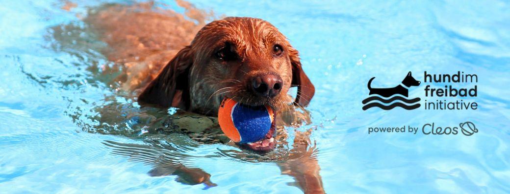 Hundebadetag Hundebadetag