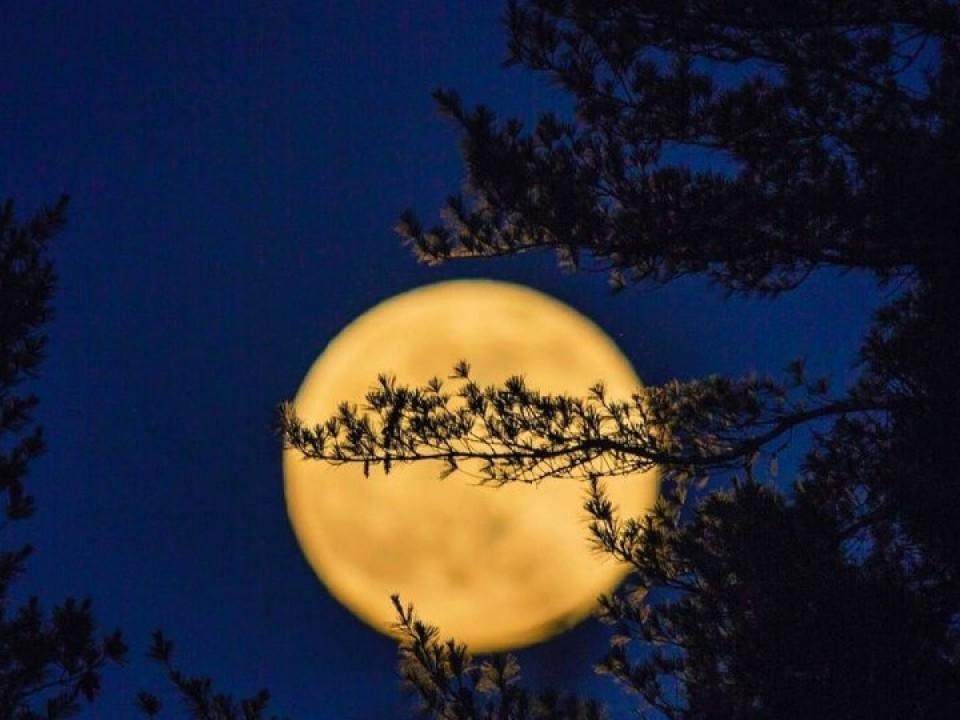 Vollmond auf dem Hochgrat