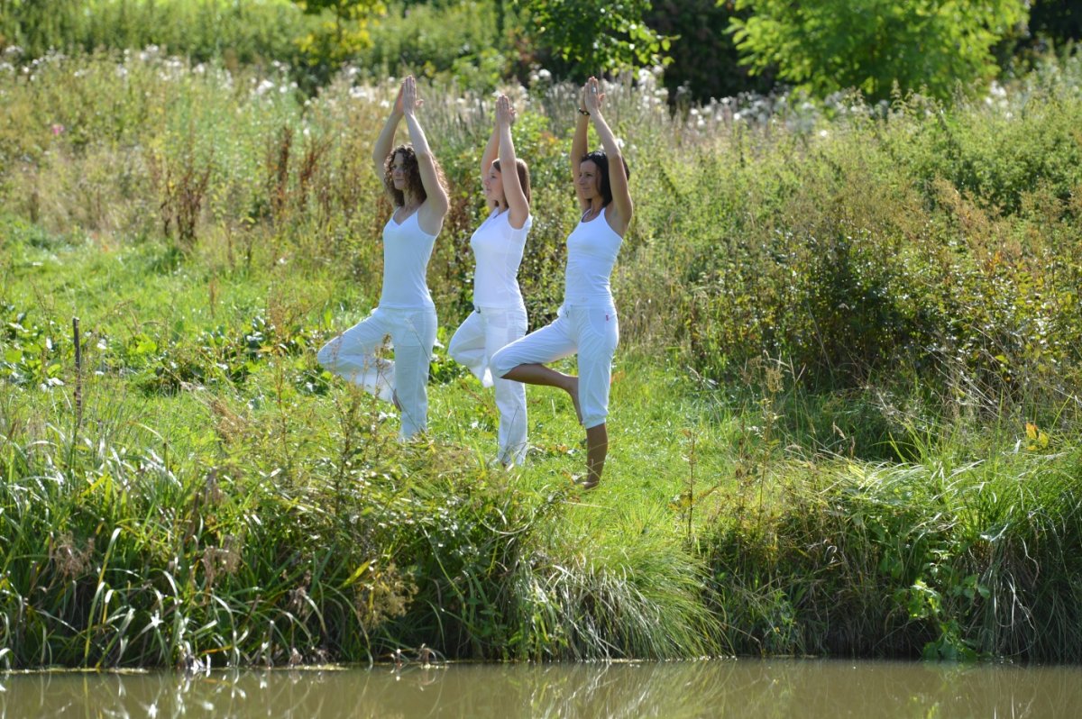 Westallgäu Kräutergarten David Knipping (40)