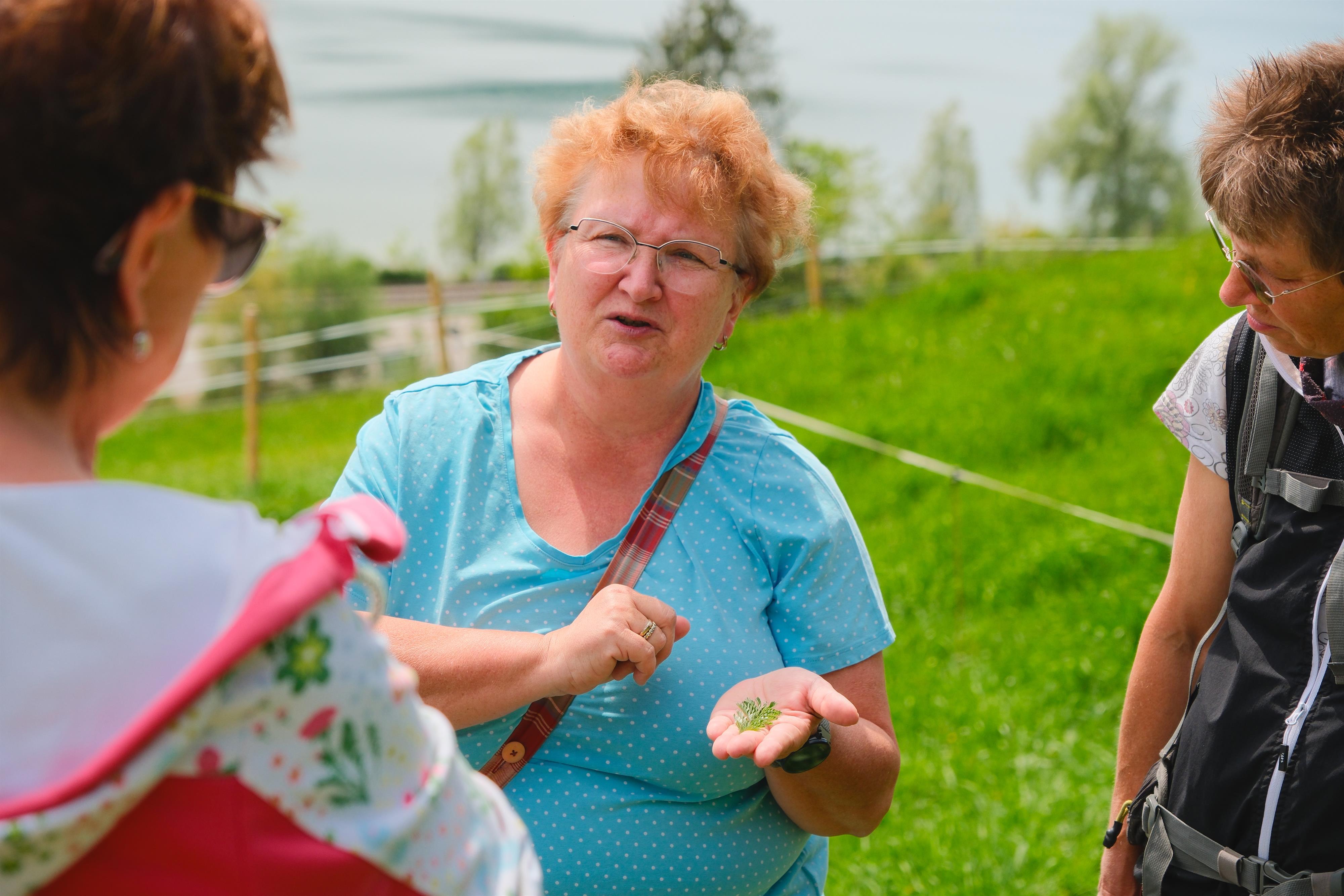 Kräuterwanderung mit Elfriede Lochbihler 3 Kräuterwanderung mit Elfriede Lochbihler 3