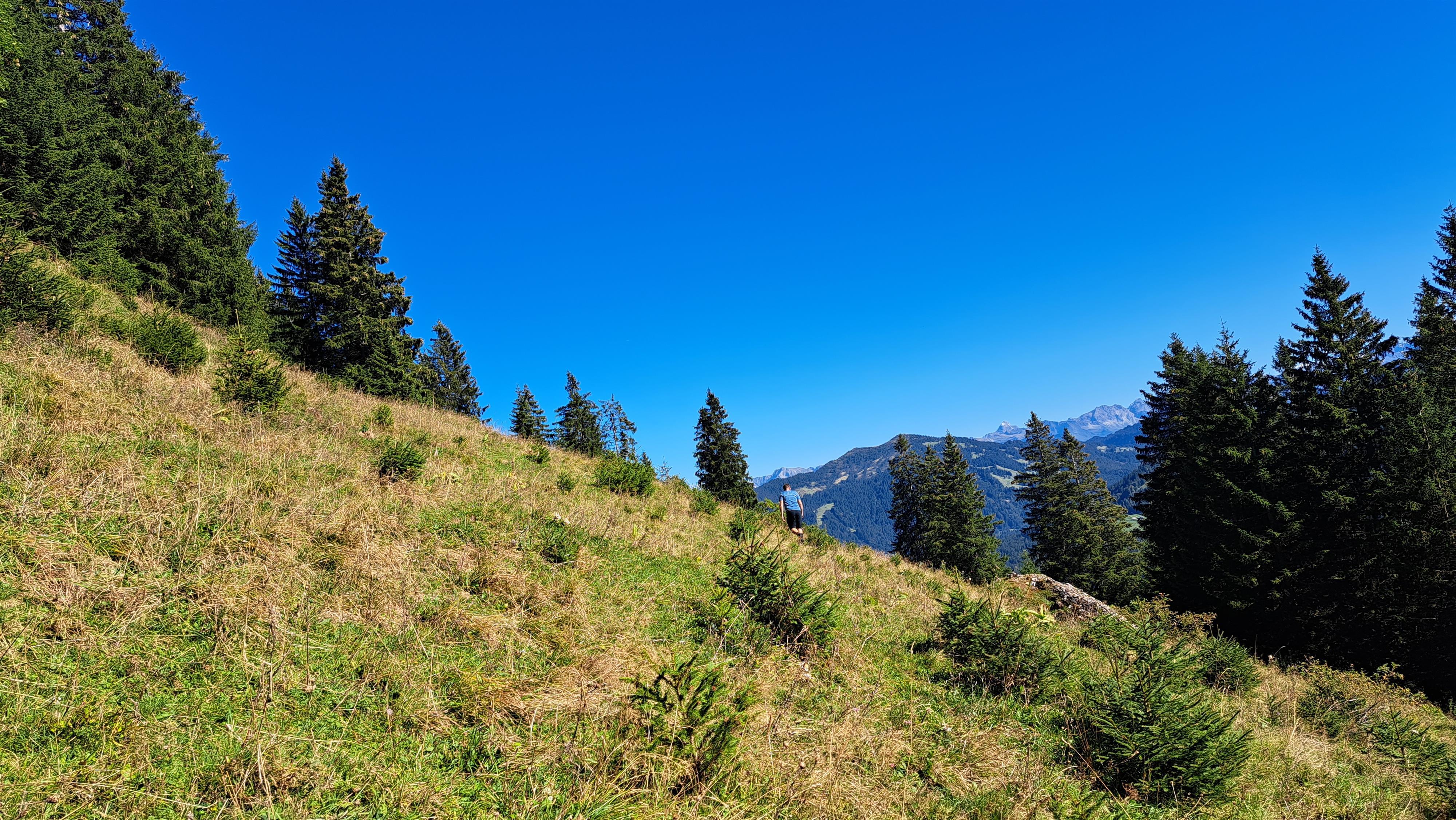 Freiwilligenprojekt Freiwilligenprojekt