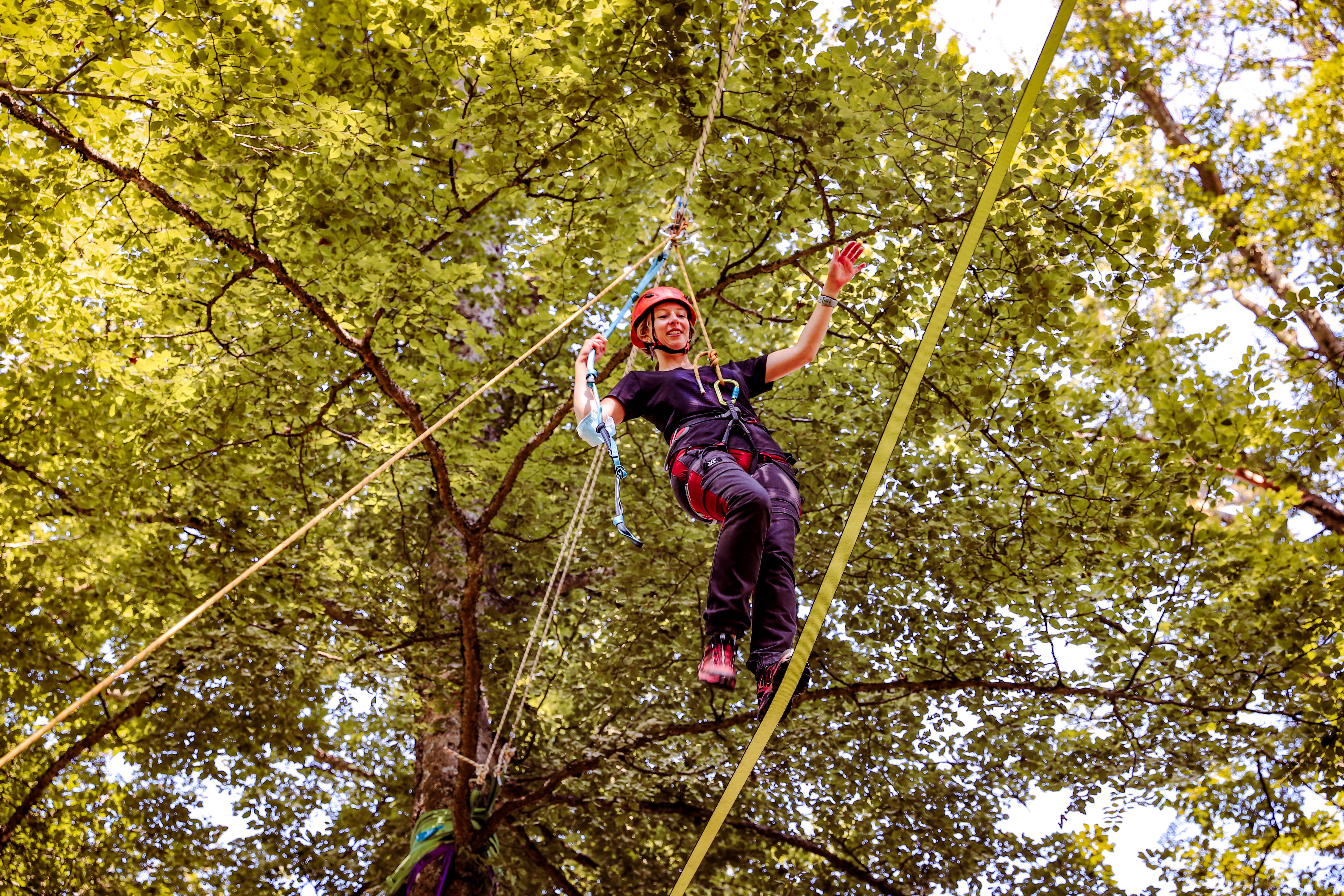 Wipfelstürmer Wipfelstürmer