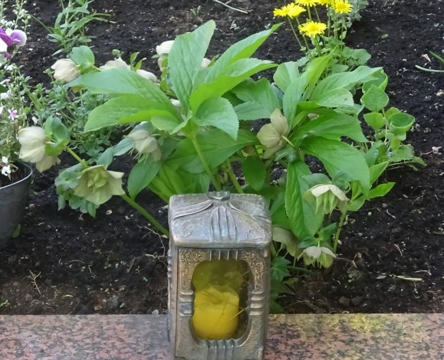 Grabpflege Grabpflege