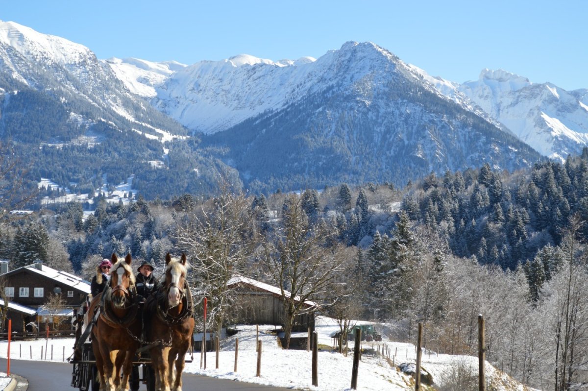 Pferdeschlittenfahrt