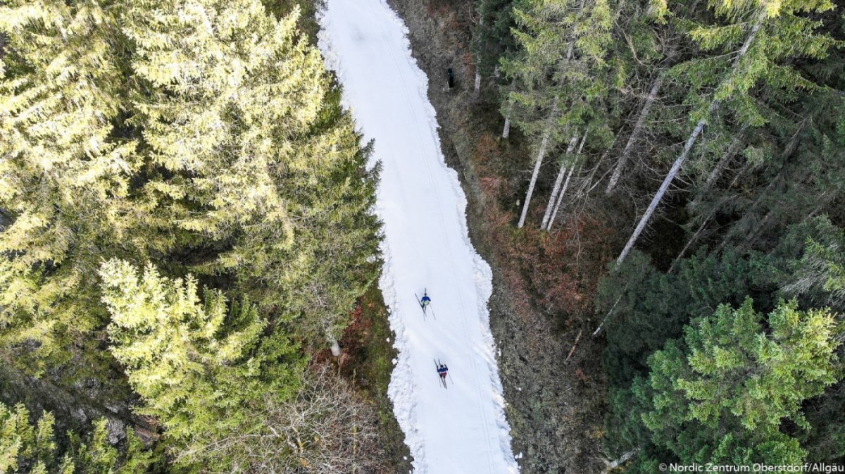 Mit Langlaufski durch die Wälder