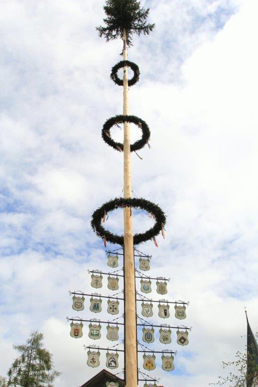 Maibaum.jpg