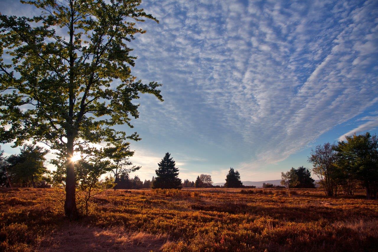 Hochheide.jpg Hochheide.jpg