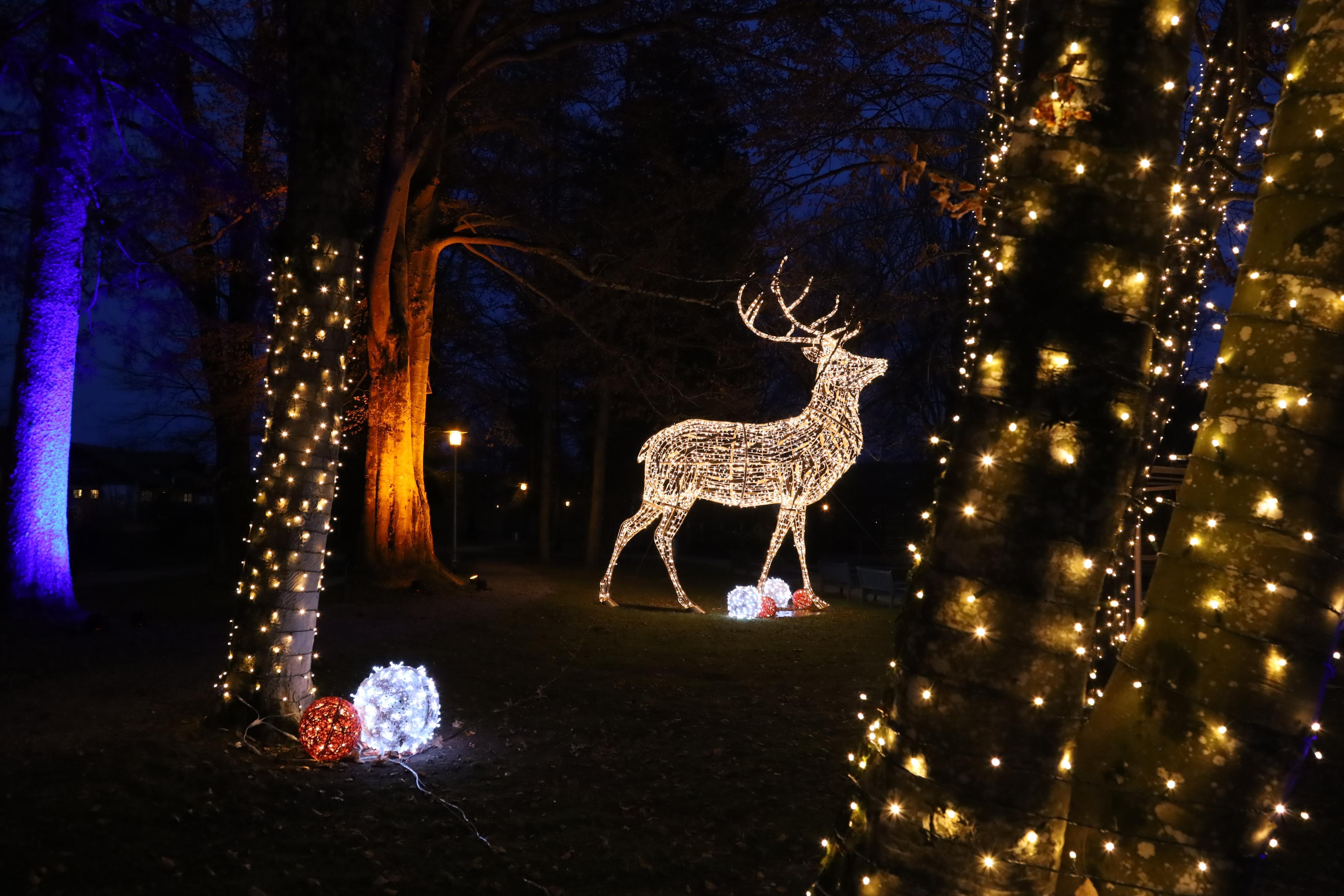 Lichterglanz im Kurpark