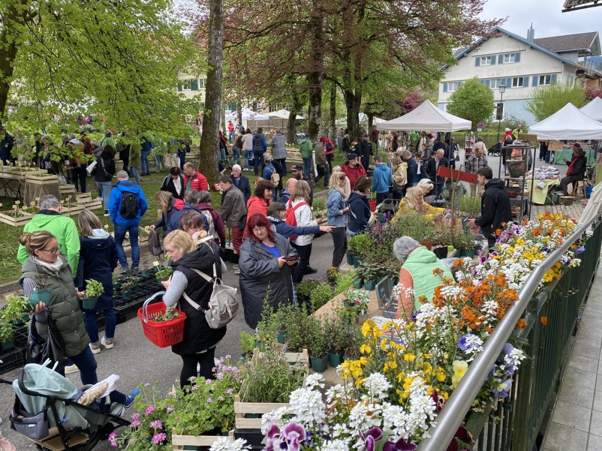 Kräuter- und Töpfermarkt