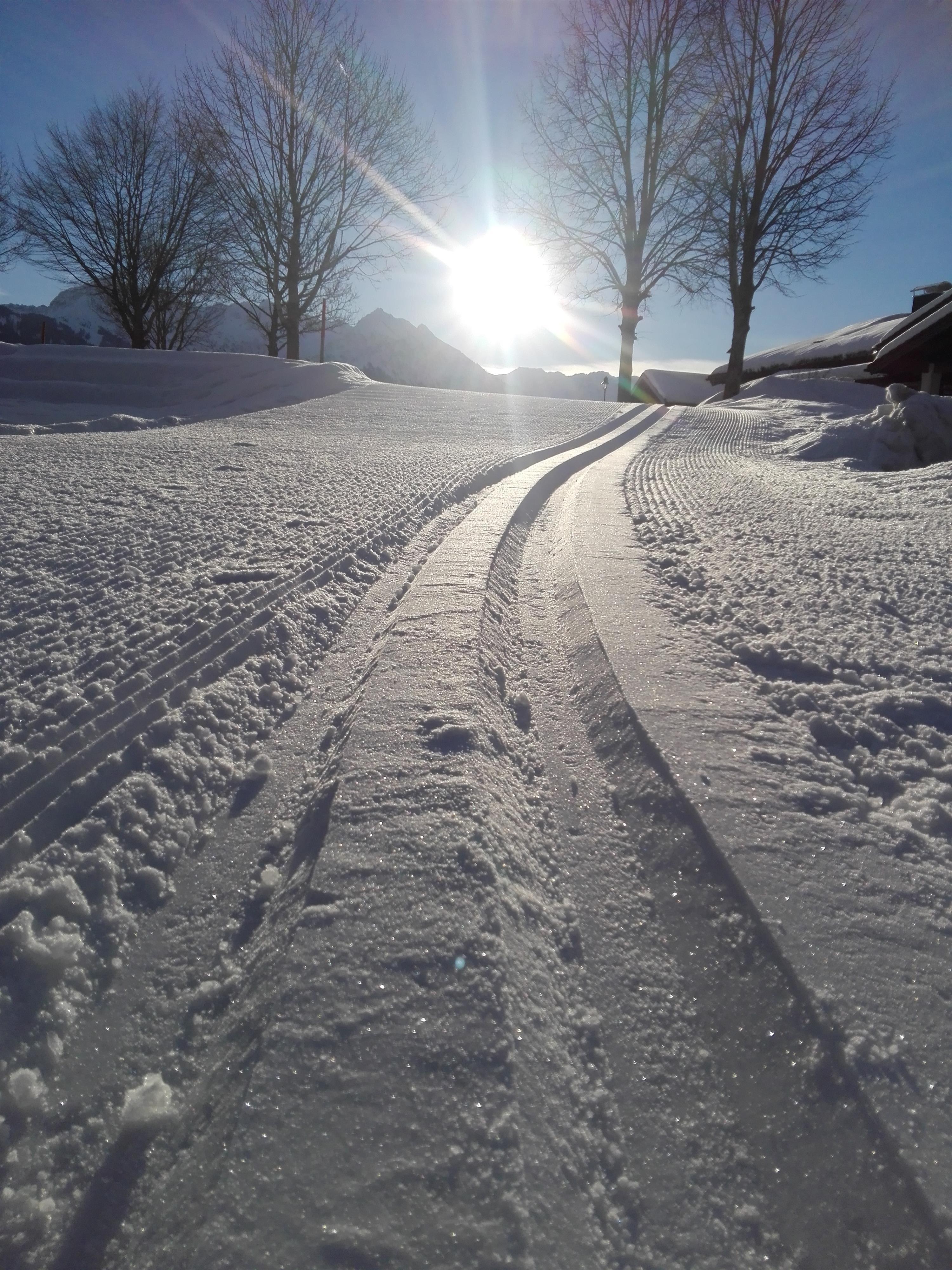 Langlauf Skating für Anfänger
