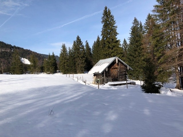 Schneeschuhwanderung Oberjoch