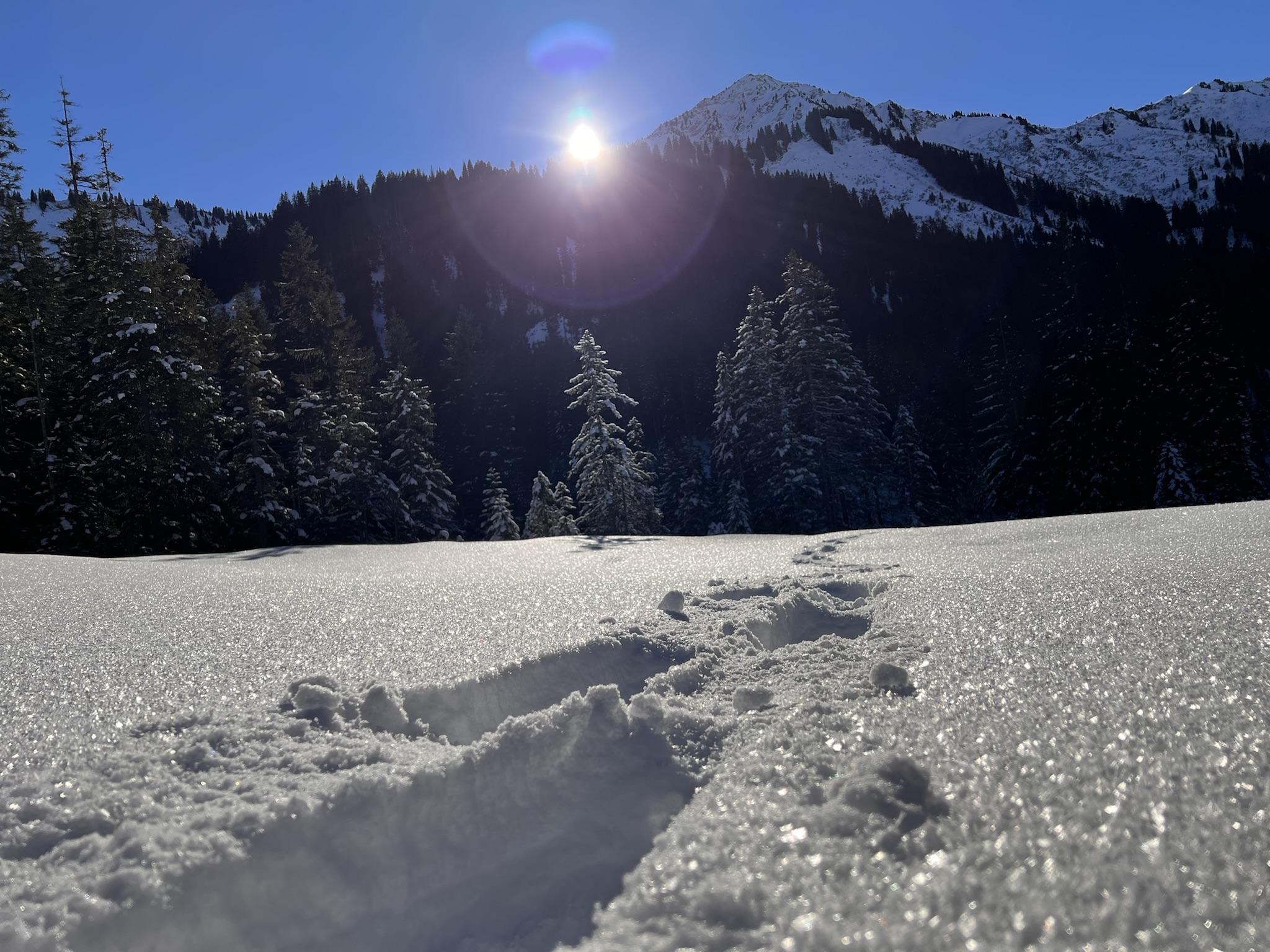 Schneeschuhtour Schwarzwasserhütte