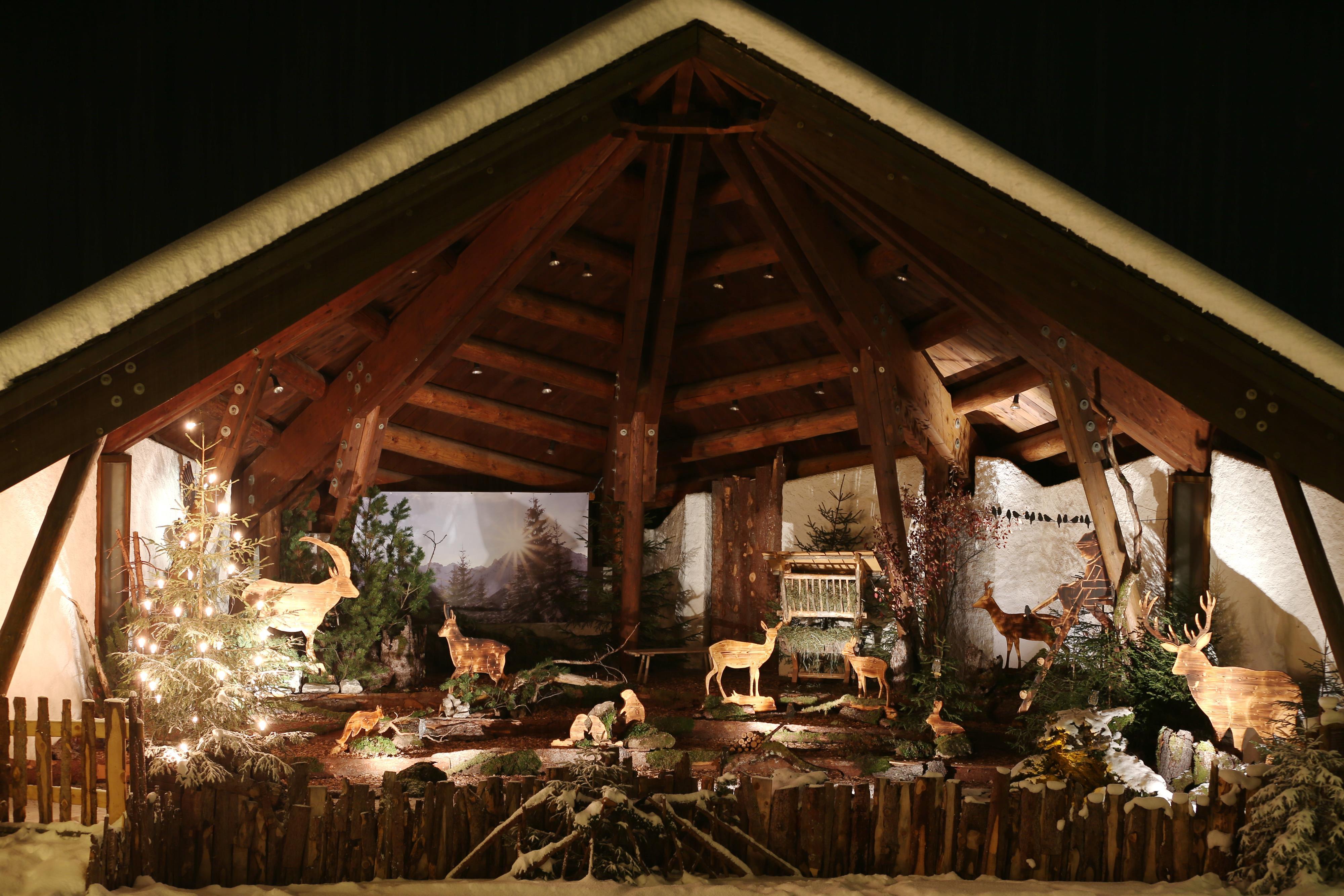 Walser Tierwelt in Heu und Holz