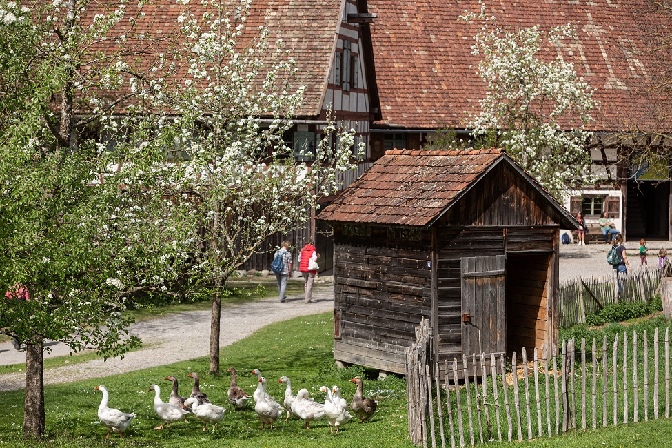 Frühling im Museum_Foto Fesseler Frühling im Museum_Foto Fesseler