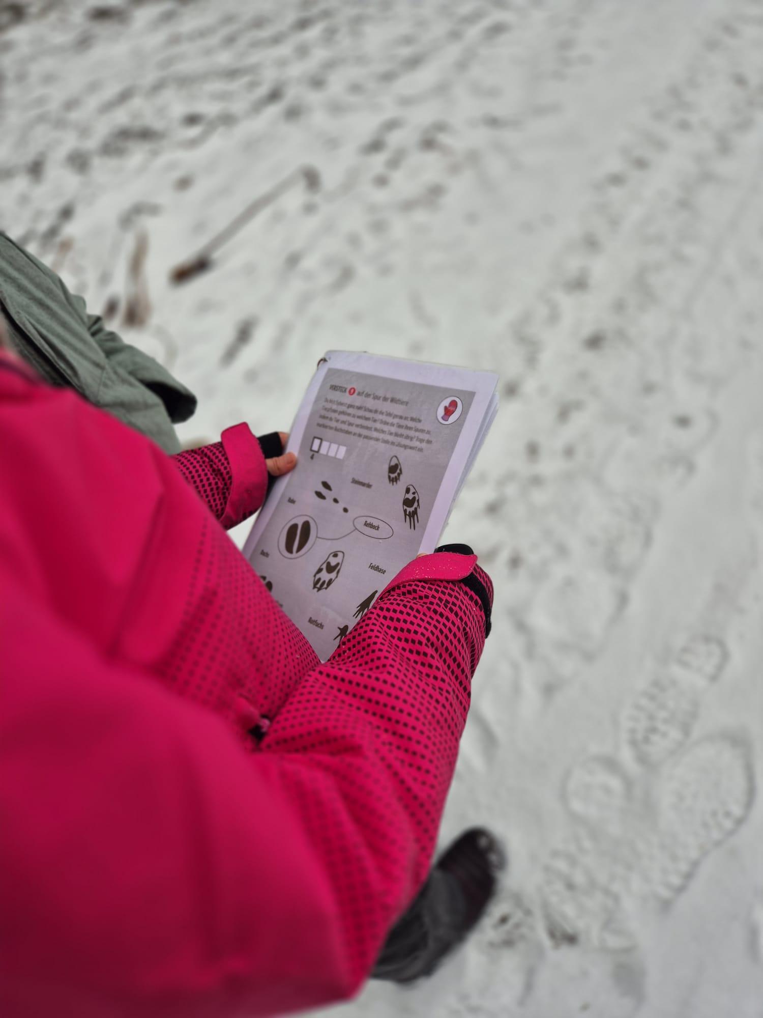 Kinder bei der Schatzsuche