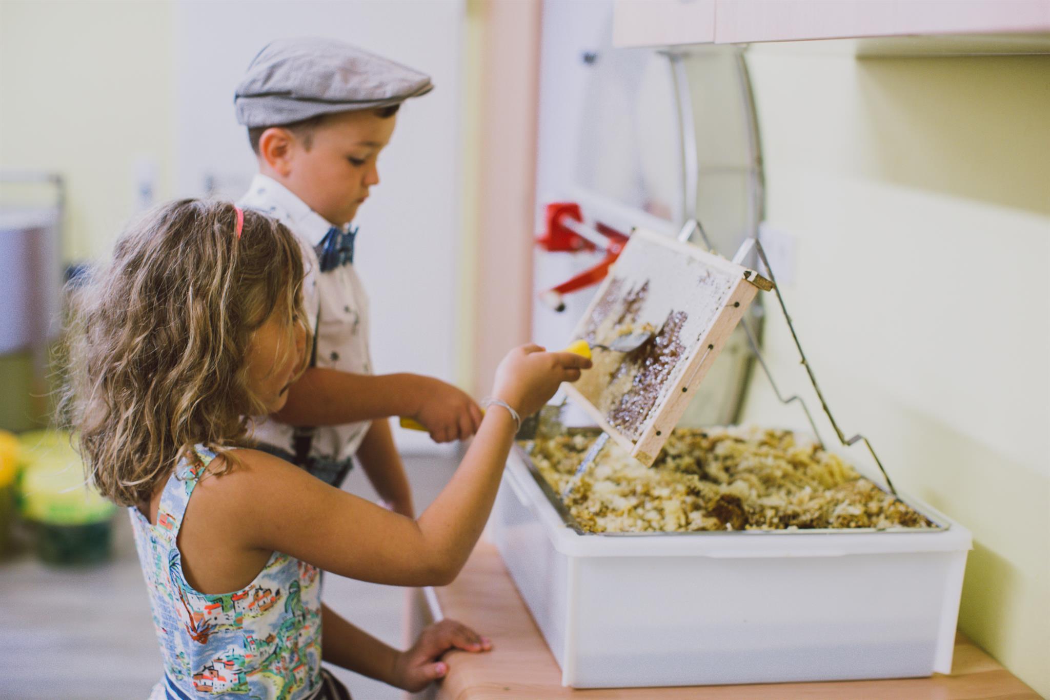 Wabe entdeckeln Wabe entdeckeln