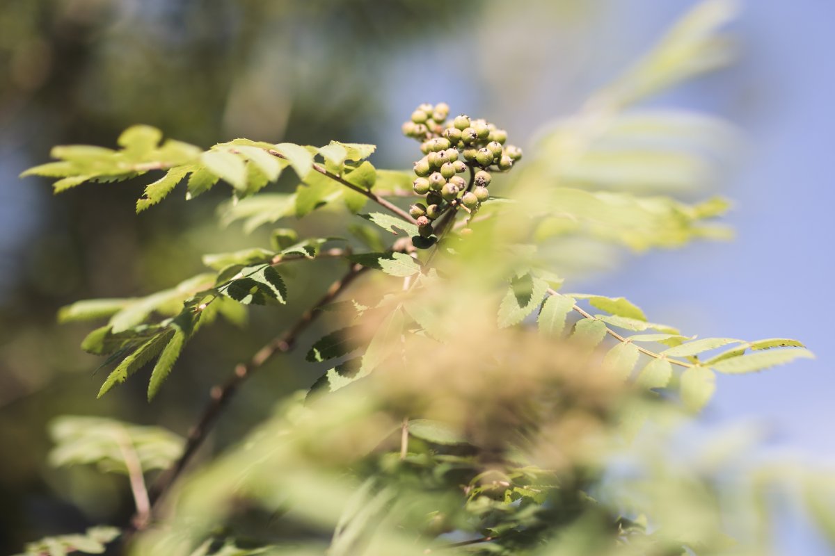 Wenn die stille zu mir spricht 18(24) ©LRA Lindau Frederik.Sams