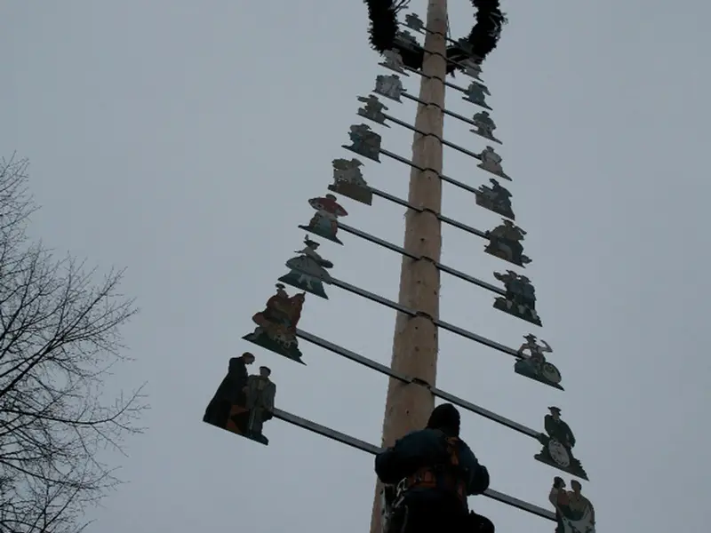 maibaum.webp