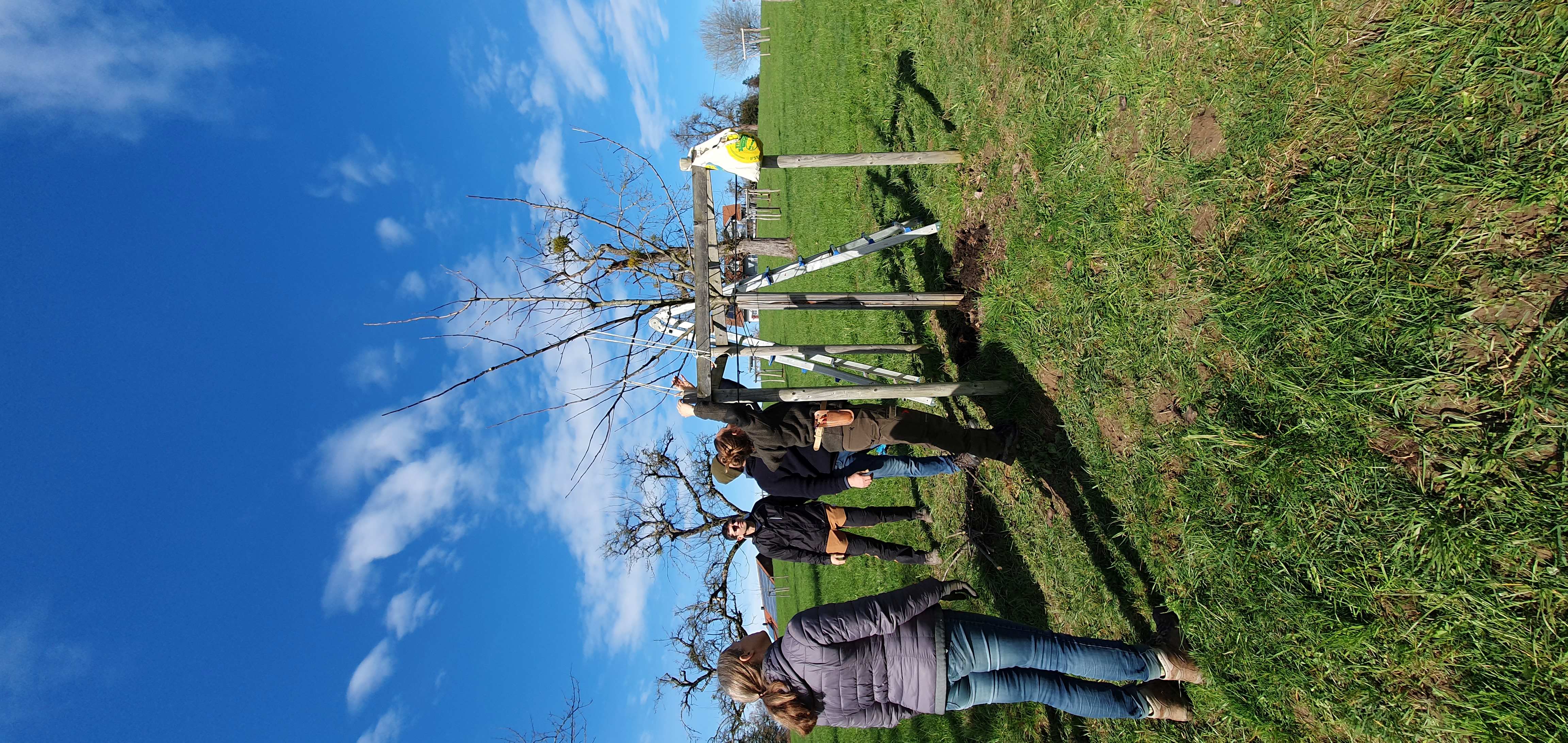 2024 SChnittkurs Jungbaum - Kopie