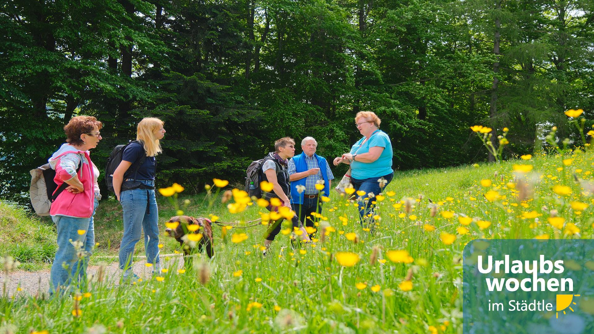 Kräuterwanderung am Großen Alpsee Kräuterwanderung am Großen Alpsee