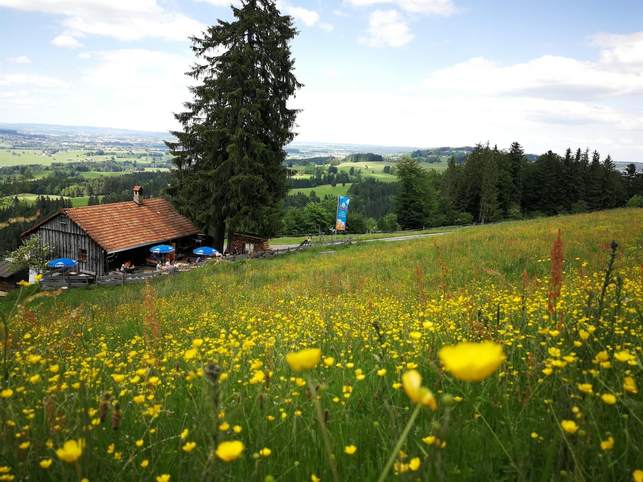 Alpe Müller´s Berg