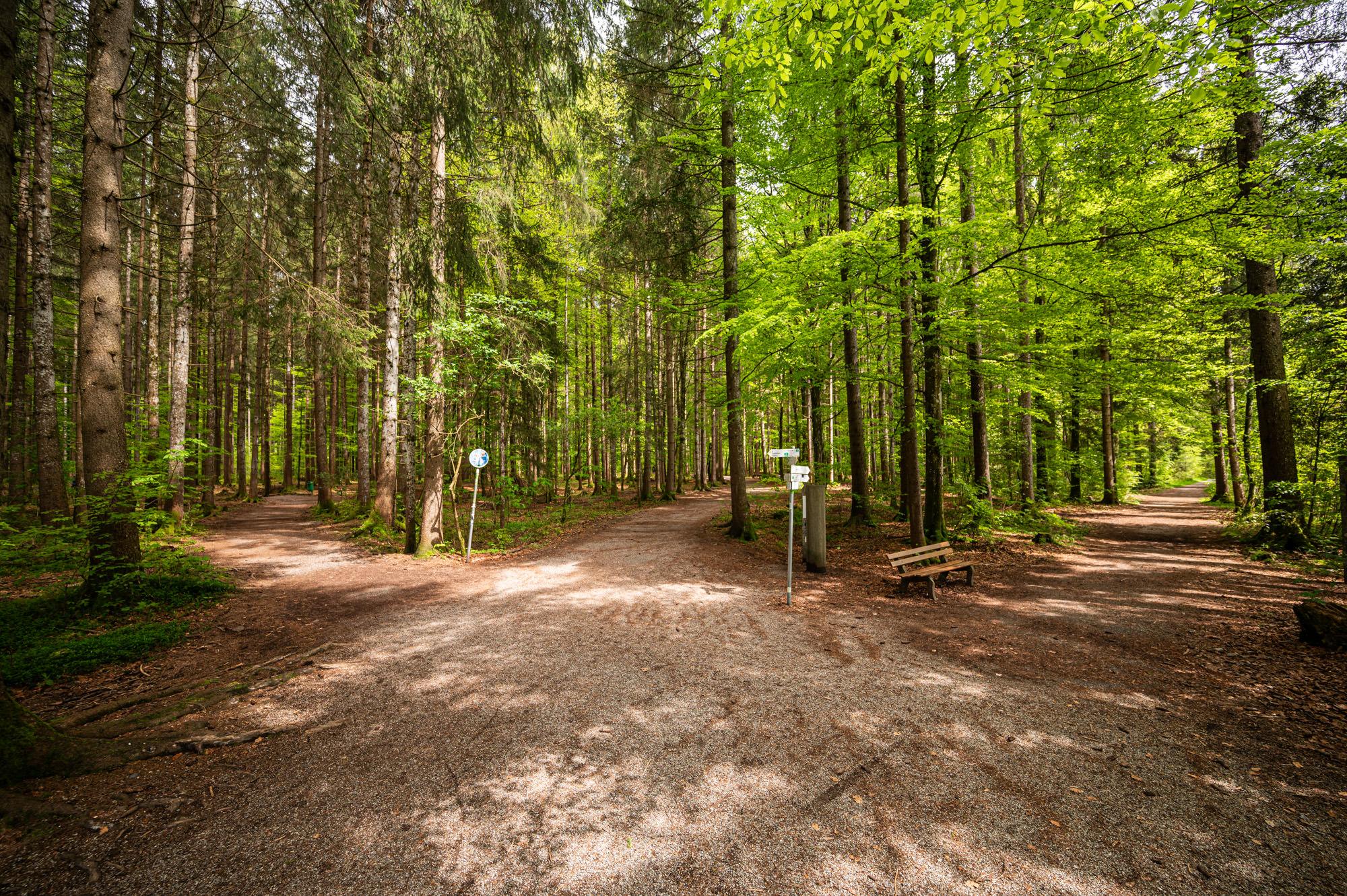 Waldbaden in Fischen im Allgäu