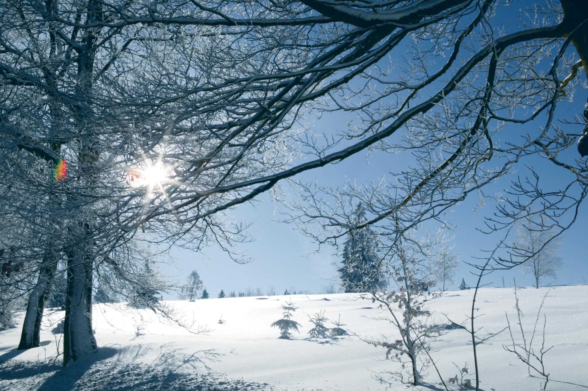 Geführte Winterwanderung