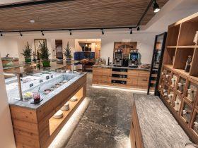 der Bären im Allgäu