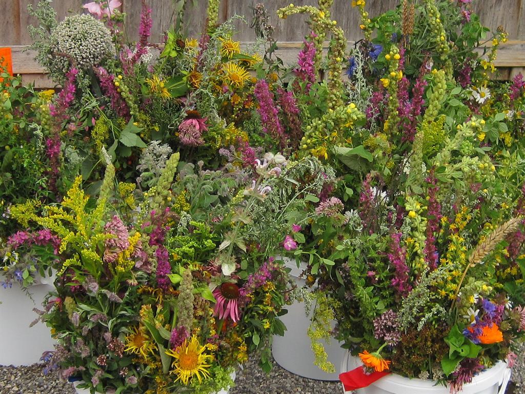 Kräuterboschen Kräuterboschen