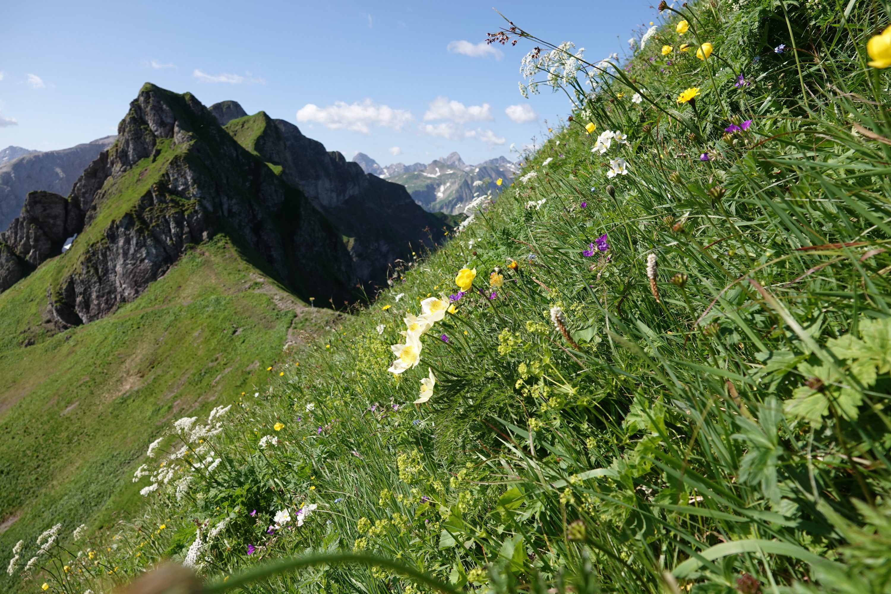 Laufbacher-Eck-FSteinmeyer.jpg