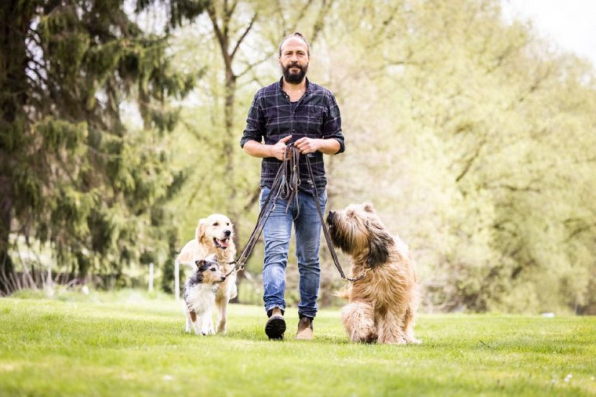 Hunde an Leine