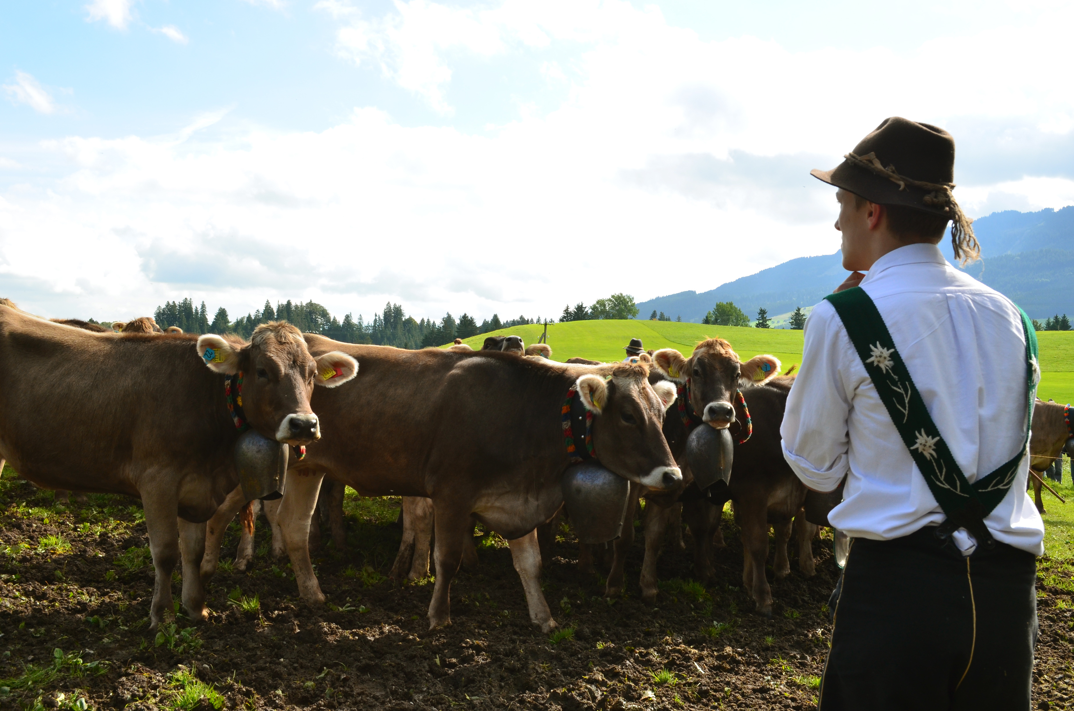 Viehscheid-vordemScheiden 13.jpg