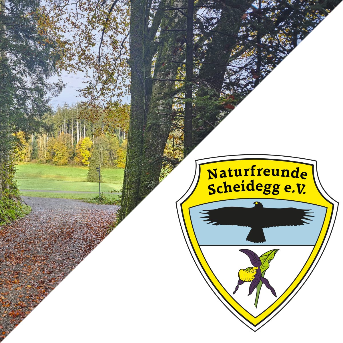 Bilder Mai Sept wald Atem.Qi