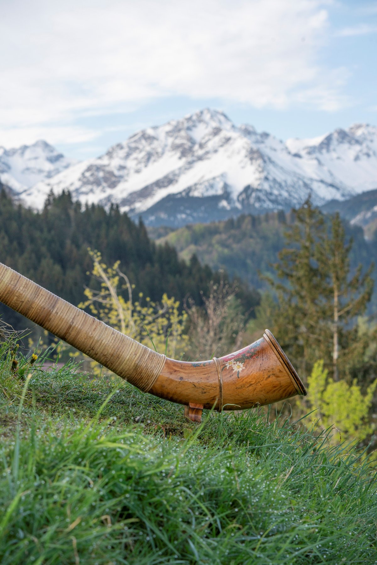 Alphorn Schnee