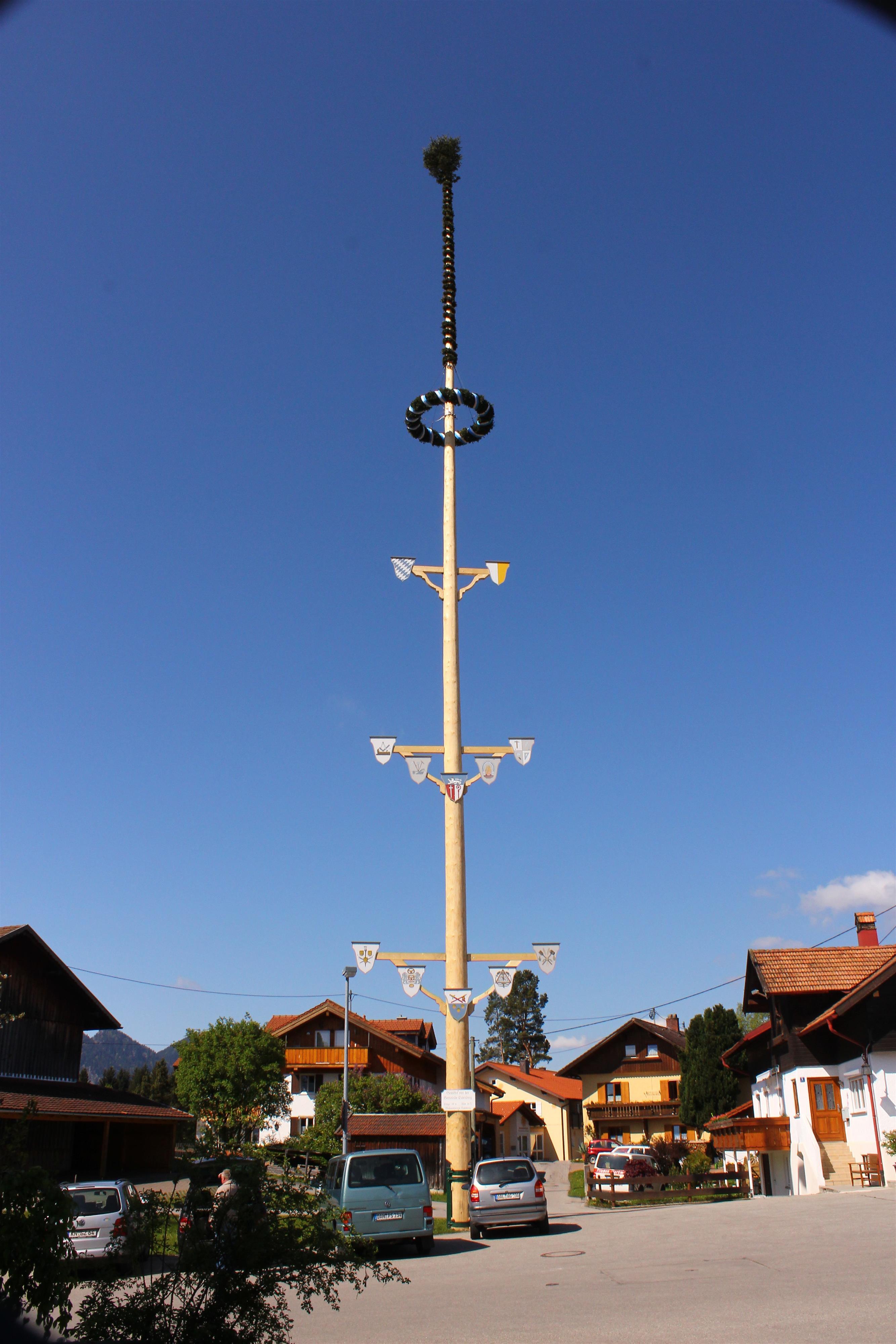 Maibaum 2