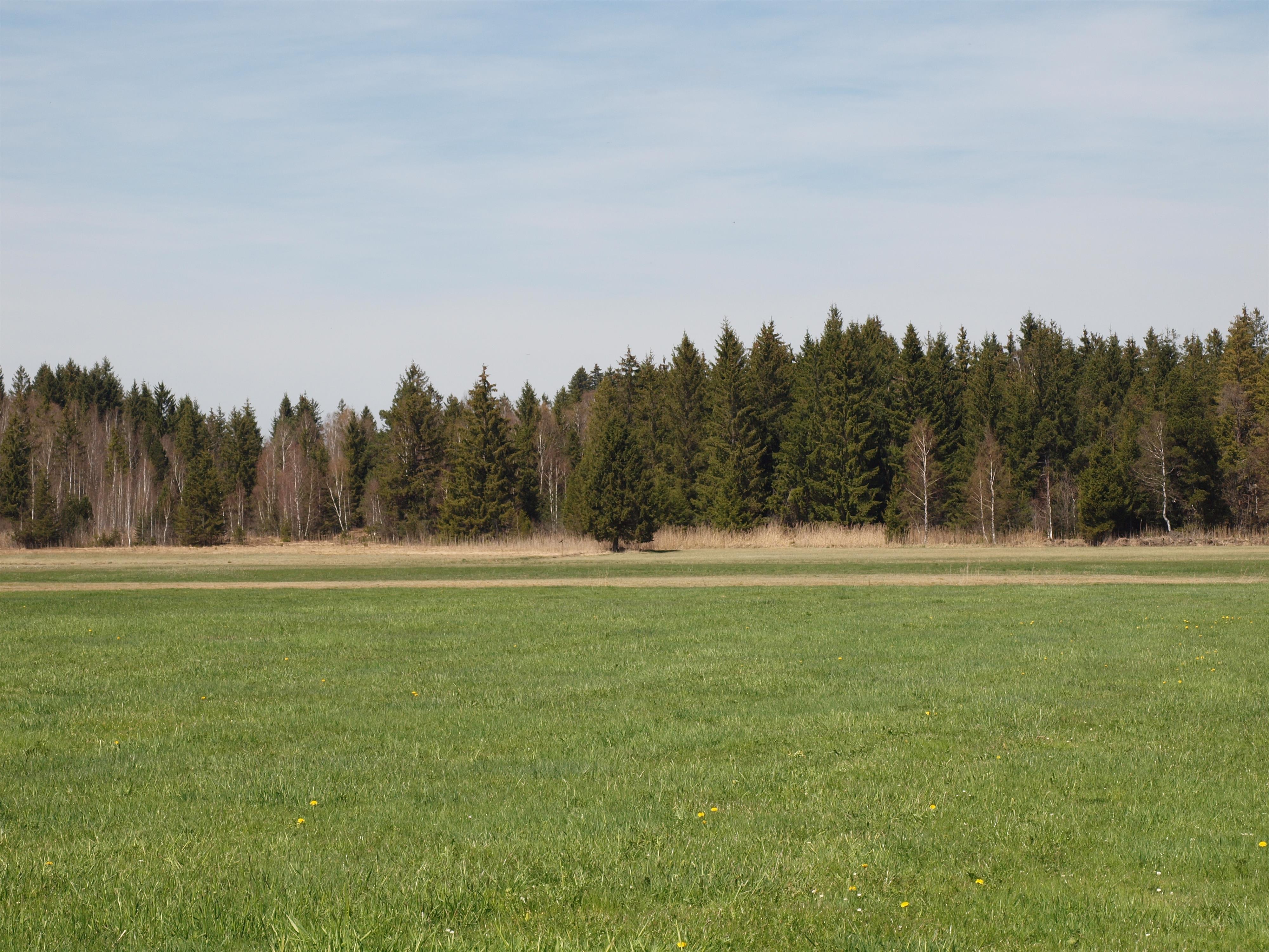 Wiesleutener Moos