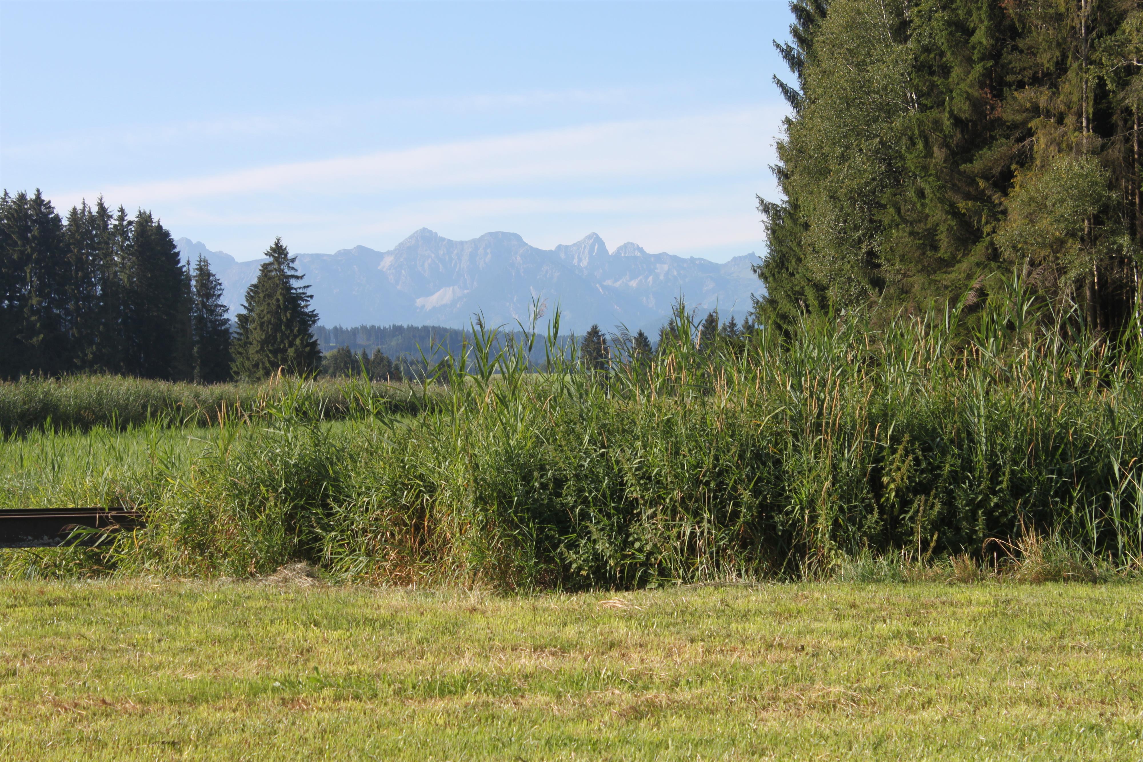 Hochmoor