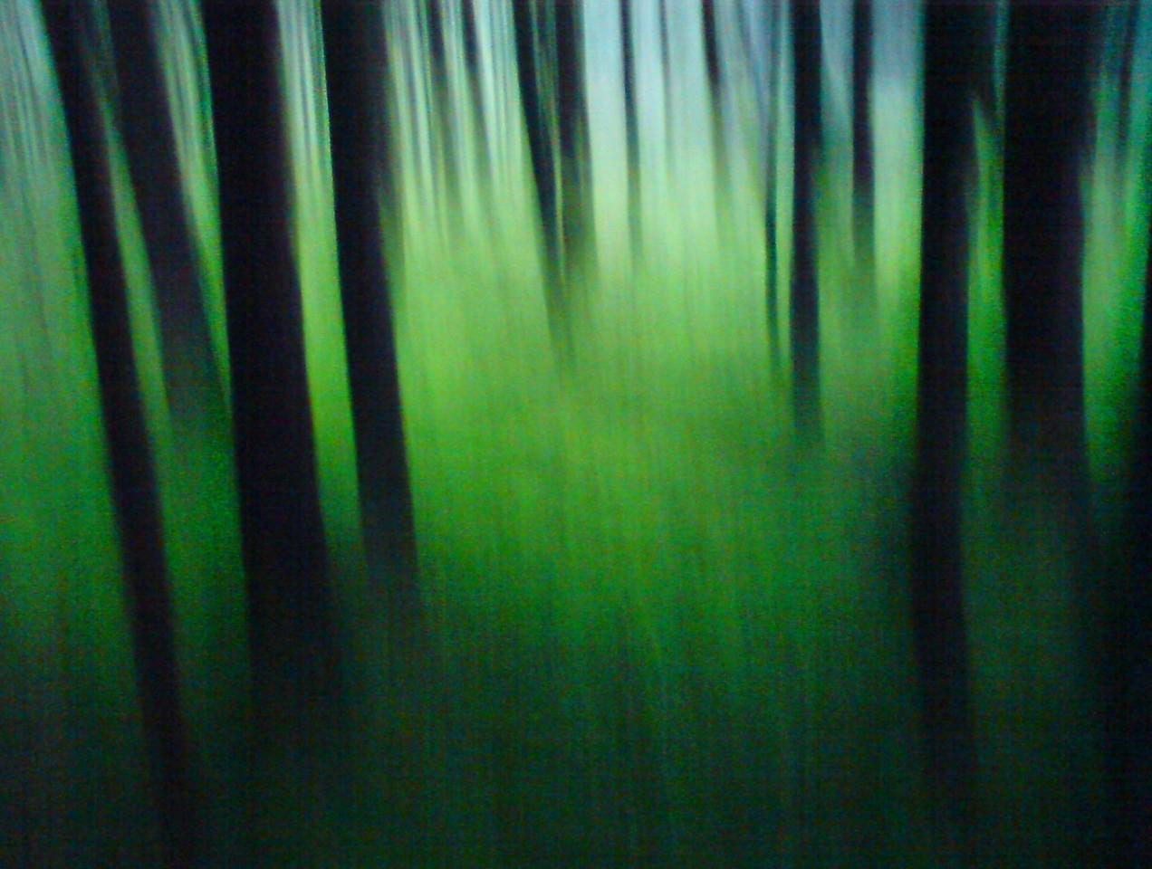 Einblick in die Kunstausstellung